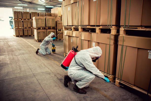 Best Residential Pest Control  in Torrance, CA