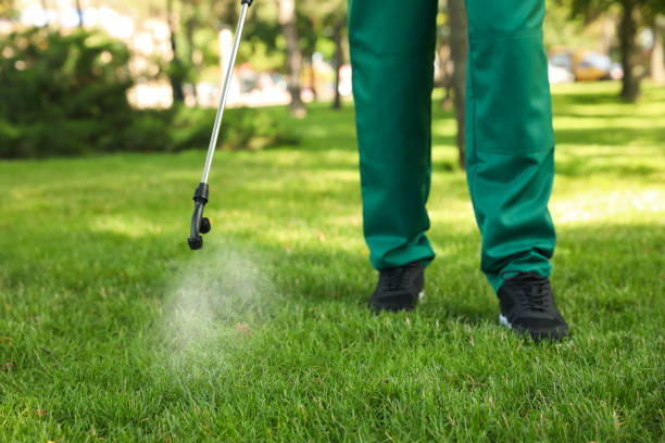 Best Pest Prevention Services  in Torrance, CA