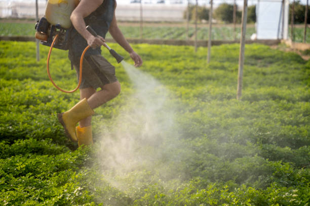 Best Pest Control Near Me in Torrance, CA
