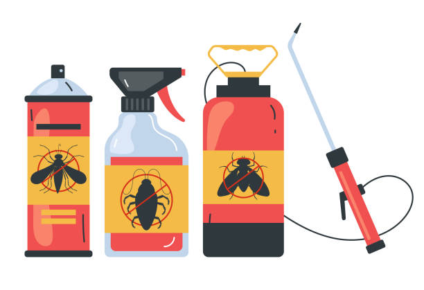 Best Affordable Pest Control Services  in Torrance, CA